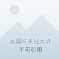 重生之娱乐圈作家