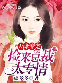 天降专宠:捡来总裁太钟情