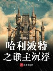 哈利波特之谁主沉浮